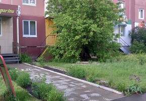 Административная комиссия отслеживает соблюдение Норм и правил по благоустройству города Шарыпово