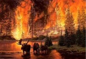 Человеческий фактор лесных пожаров