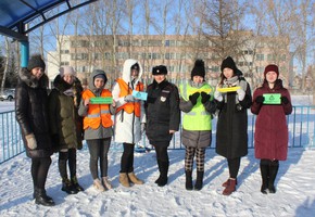 В Шарыпово ЮИДовцы поддержали акцию #ПешеходныйВсеобуч