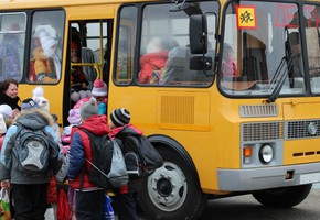 Автополицейские напоминают о правилах организованной перевозке групп детей