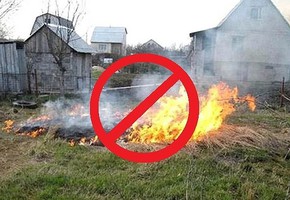 Правила сжигания мусора на дачах, садовых участках и территориях, прилегающих к частным домам