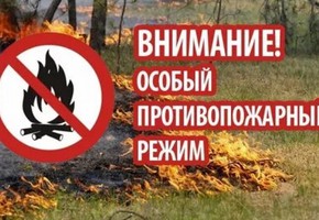 Противопожарный режим начнет действовать в городе с 14 апреля