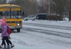 Госавтоинспекция предупреждает водителей, что дети пошли в школы после зимних каникул