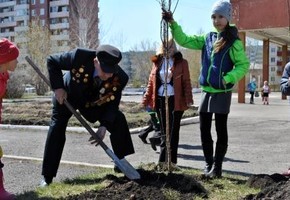 Аллеи Славы