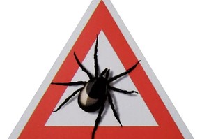 Берегитесь клещей!