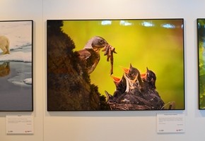 Величие и красота российской природы