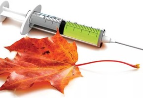 Началась иммунизация против гриппа