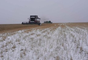 В Красноярском крае введен режим ЧС из-за сложной уборочной кампании