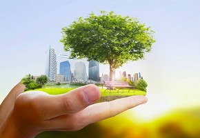 Экологическая хартия Красноярского края: давайте присоединяться