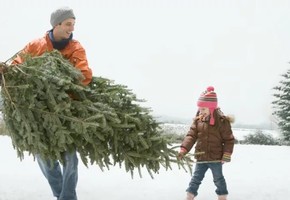 Впереди Новый Год