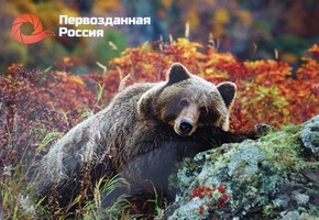 Фотоальбомы о природе – городу и району