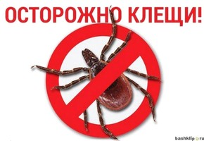 Клещи проснулись!