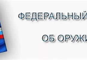 С 16 января 2019 года вступают в силу изменения в Федеральный закон «Об оружии»