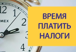 Уплатите имущественные налоги до 1 декабря!