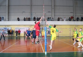 V городская спартакиада началась!