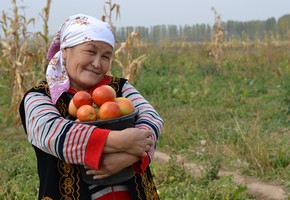 В «Единой России» требуют сохранить укороченную рабочую неделю для женщин в сельской местности