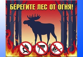 Памятка Шарыповской городской прокуратуры "Берегите лес от огня"