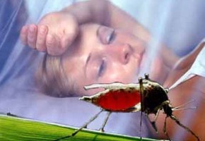 «Болотная лихорадка»: памятка отъезжающим на отдых за границу