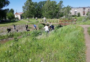 Чисто там, где не мусорят