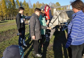 Проект в действии