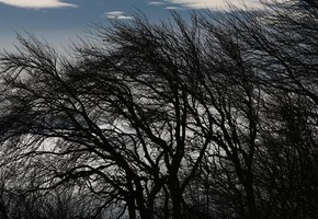 Погода 29.10.2019