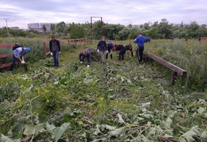 Объявлен муниципальный этап краевого конкурса по трудовому воспитанию подростков в трудовых отрядах старшеклассников (ТОС)