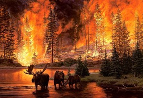 Не разводите огонь!