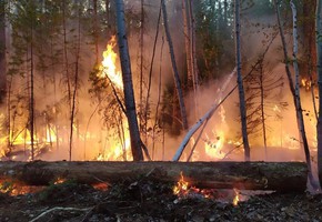 В Шарыпово полицейские проводят мероприятия по соблюдению требований особого противопожарного режима