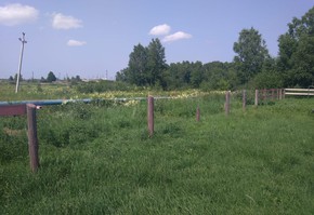 Ради грошовой наживы обидели детей!