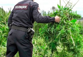 Сотрудники полиции проводят оперативно-профилактическую операцию «Мак»