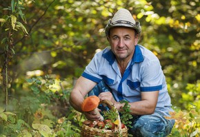 Полицейские предупреждают: памятка для собирающихся в лес