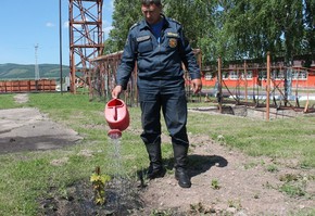 Расти, символ мужества и памяти