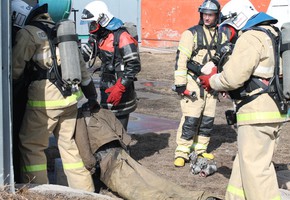 В борьбе определились лучшие