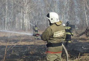 Вместе мы остановим пожоги сухой травы!