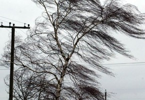 Внимание - ожидается сильный ветер!