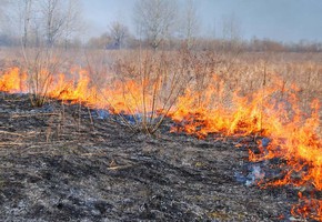 Анализ оперативной обстановки в г. Шарыпово по состоянию на 27.04.2021