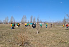 На субботник в «Зеленый островок»