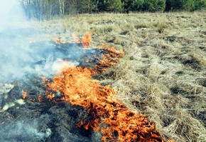 Анализ оперативной обстановки в г. Шарыпово по состоянию на 13.05.2021
