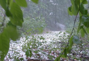 Экстренное предупреждение о погоде