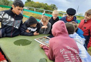 Игры патриотов