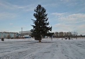 В городе начали обустраивать новогодние ледовые городки