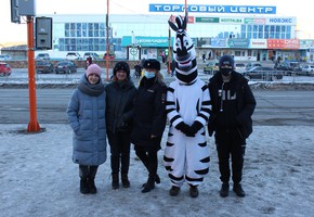 В Шарыпове дорожные полицейские и волонтеры поздравили мужчин- пешеходов с Днем защитника Отечества