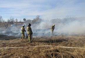 Поджог травы – преступление