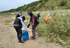Прием в трудовые отряды старшеклассников открыт