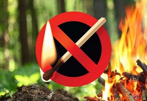 Правила пожарной безопасности при введении особого противопожарного режима