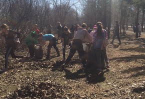 Экологические мероприятия