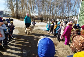 В городе открылся детский  клуб «ЗооАкадемия»