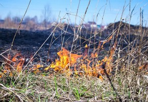 Сохраняется высокая пожарная опасность. Ожидается сильный ветер.