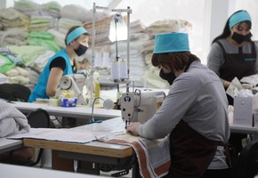 Территории края получат 60 миллионов рублей на гранты для начинающих предпринимателей