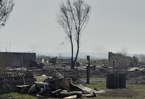 НЕ ОСТАВИЛИ С БЕДОЙ «ОДИН НА ОДИН»